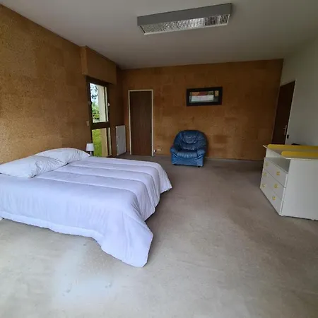 Villa 300 M2 Le Cluedo Grande Capacité 20 Couchages à 10 Km Du Puy Du Fou